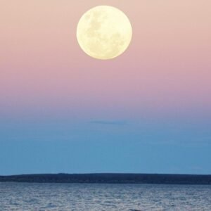 Cela affecte la pleine lune du 11 juin à chaque signe du zodiaque