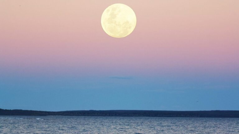Cela affecte la pleine lune du 11 juin à chaque signe du zodiaque