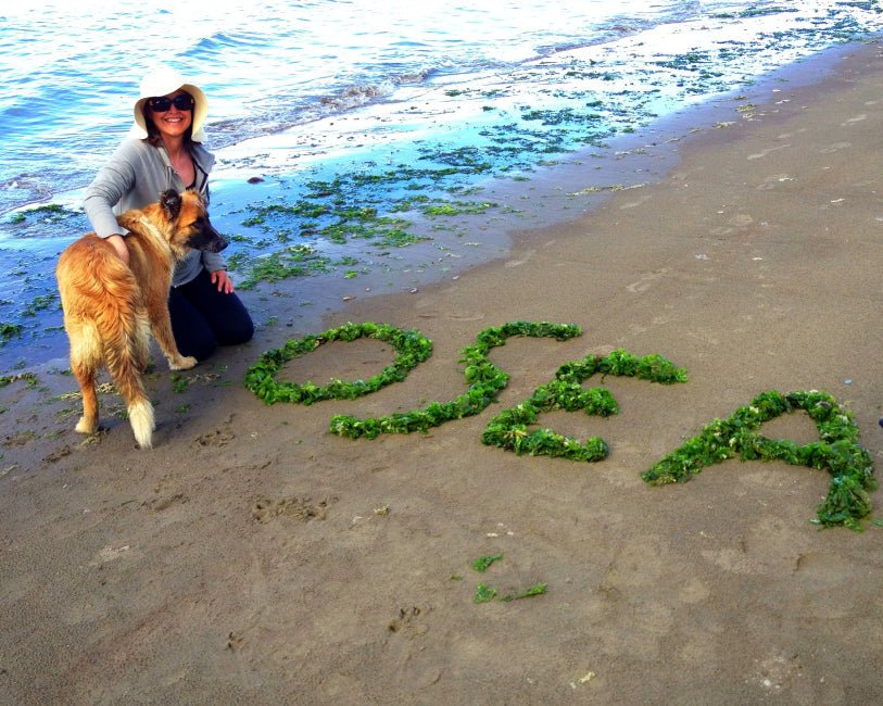 Une lettre d'amour aux algues - Osea® Malibu