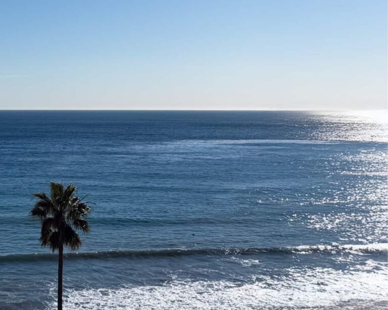 OSEA x Benchmark Resorts & Hotels – OSEA® Malibu
