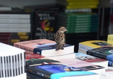 Les gros paris d'Alina Zarekaite, de la librairie La Fabulosa, pour la Foire du livre de Madrid 2026