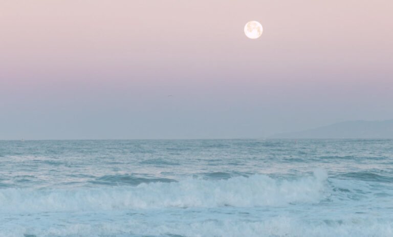 Horoscopes d’été pour chaque signe – OSEA® Malibu
