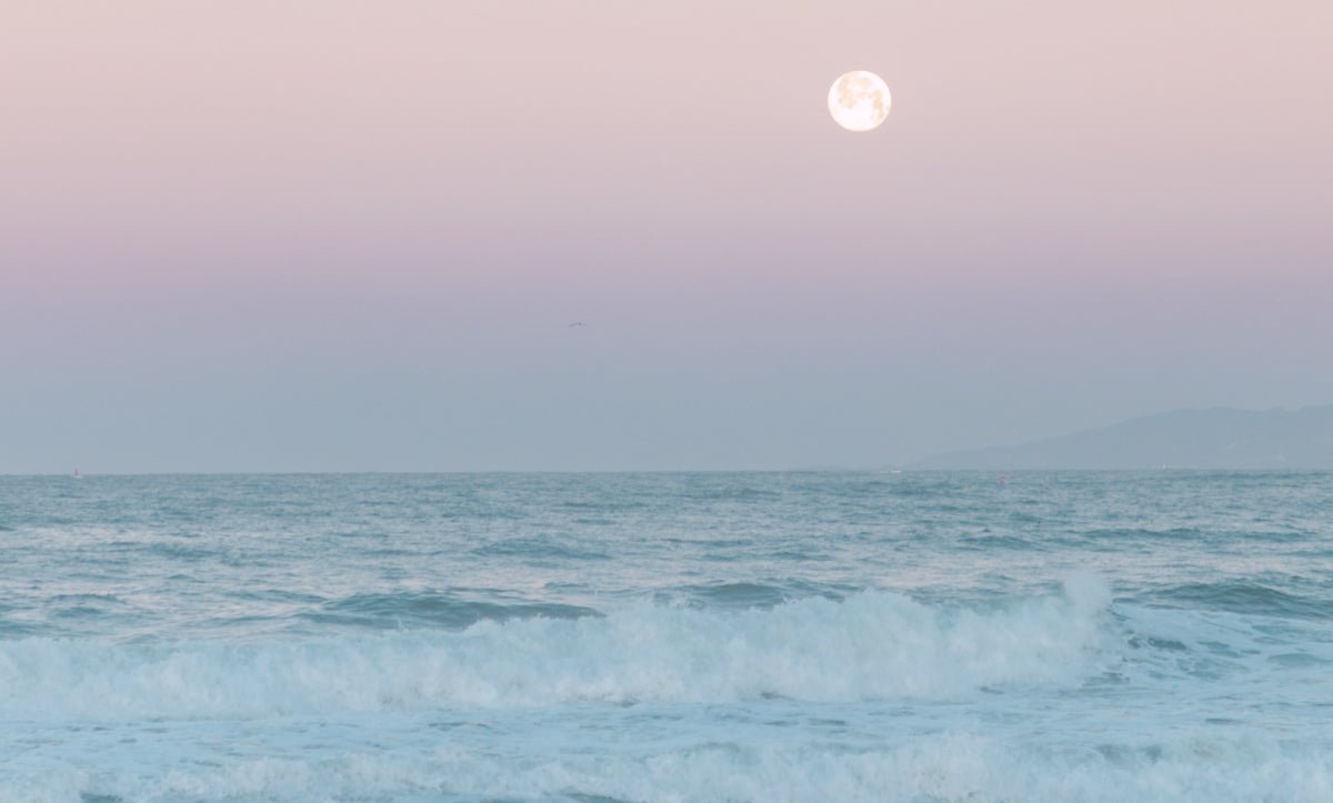 Horoscopes d’été pour chaque signe – OSEA® Malibu