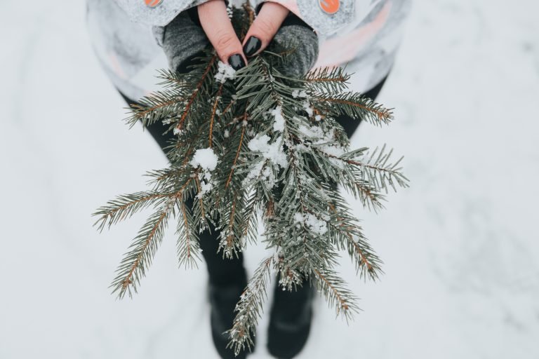 Des héros de la peau pour les ennuis de l'hiver