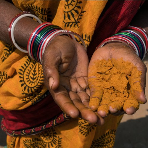 Femme indienne tenant des épices de curcuma