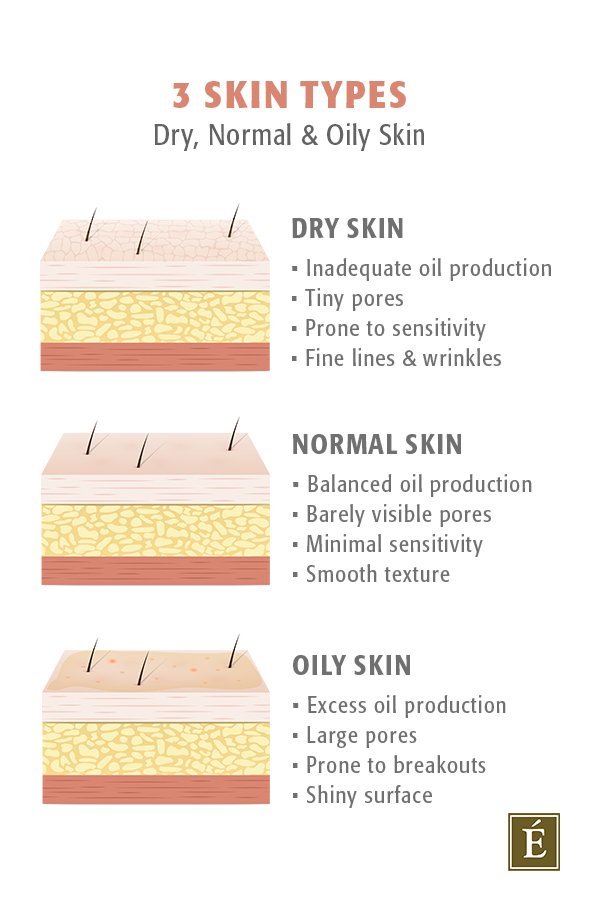 types de peau infographique