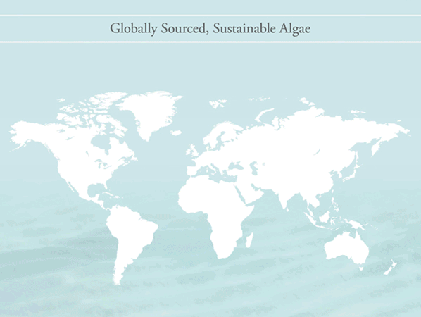 Carte des algues durables et d'origine mondiale