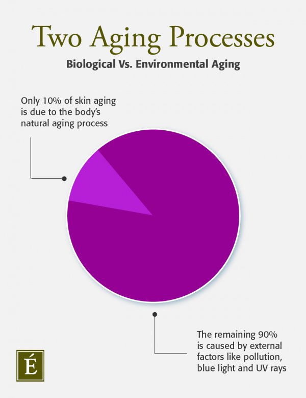 infographie sur le vieillissement biologique vs environnemental