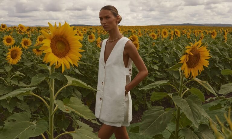 Graines de tournesol : le snack sain pour les hormones et les défenses