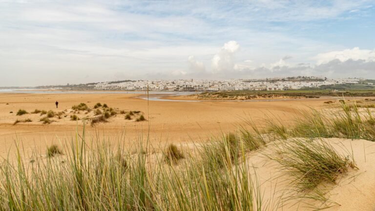 La route de randonnée qui sort de la circulation et passe à travers de précieuses plages