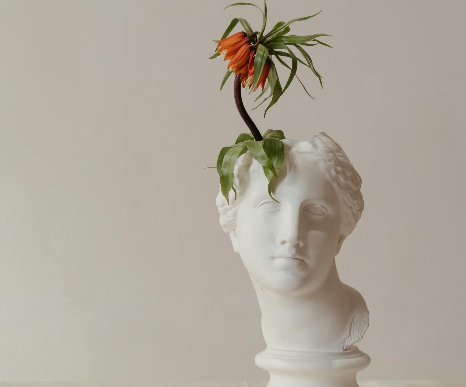 La science explique pourquoi un parfum de figue est anti-stress