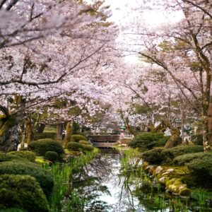 Pourquoi Kanazawa est l&rsquo;une des meilleures étapes si vous allez au Japon