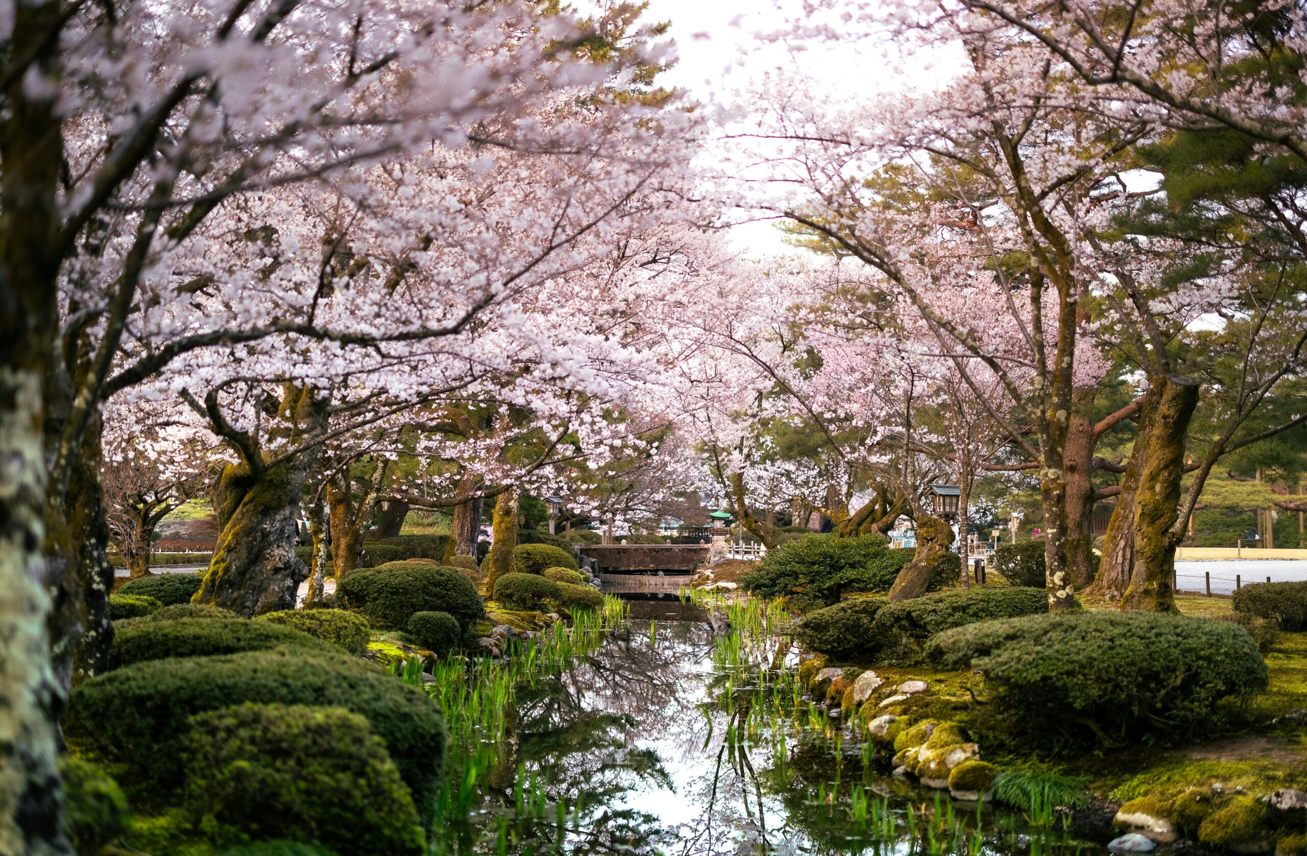 Pourquoi Kanazawa est l'une des meilleures étapes si vous allez au Japon