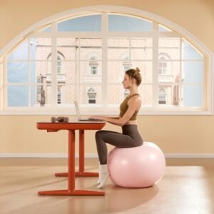 Pourquoi plus personne ne s&rsquo;assoit sur le fitball au bureau ?