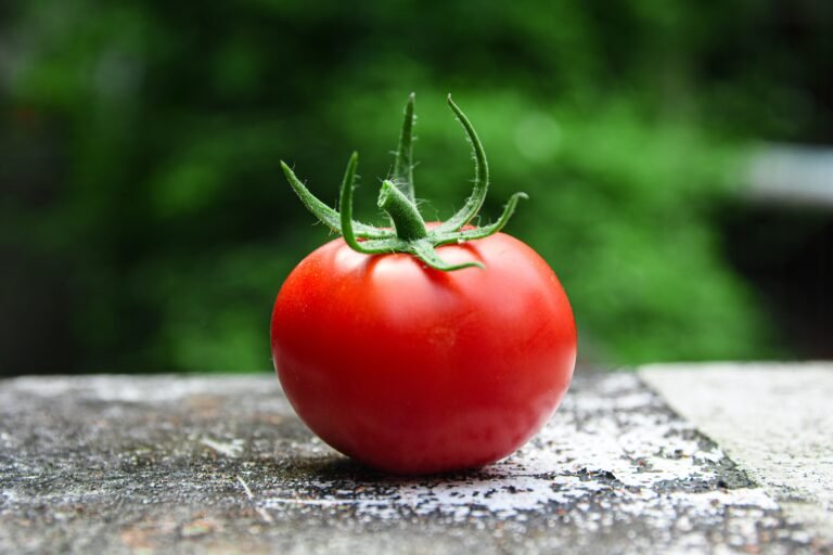 Est-il bon de s’appliquer de la tomate sur le visage tous les jours ?
