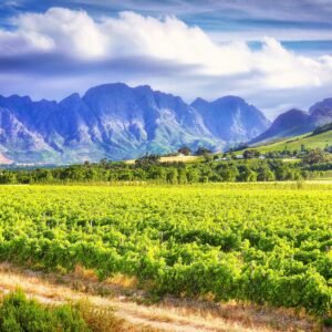 safaris, vins et hôtels sympas dans une destination africaine